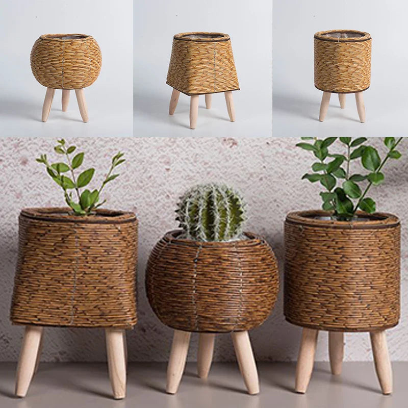 A collection of wooden plant baskets with a woven design, displayed in three different shapes (sphere, cylinder, and square) each containing a plant.