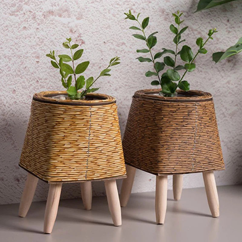 A collection of wooden plant baskets with a woven design, displayed in three different shapes (sphere, cylinder, and square) each containing a plant.