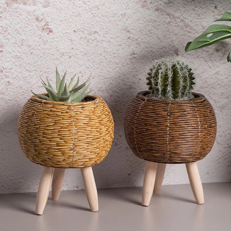 A collection of wooden plant baskets with a woven design, displayed in three different shapes (sphere, cylinder, and square) each containing a plant.