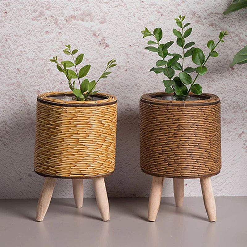 A collection of wooden plant baskets with a woven design, displayed in three different shapes (sphere, cylinder, and square) each containing a plant.