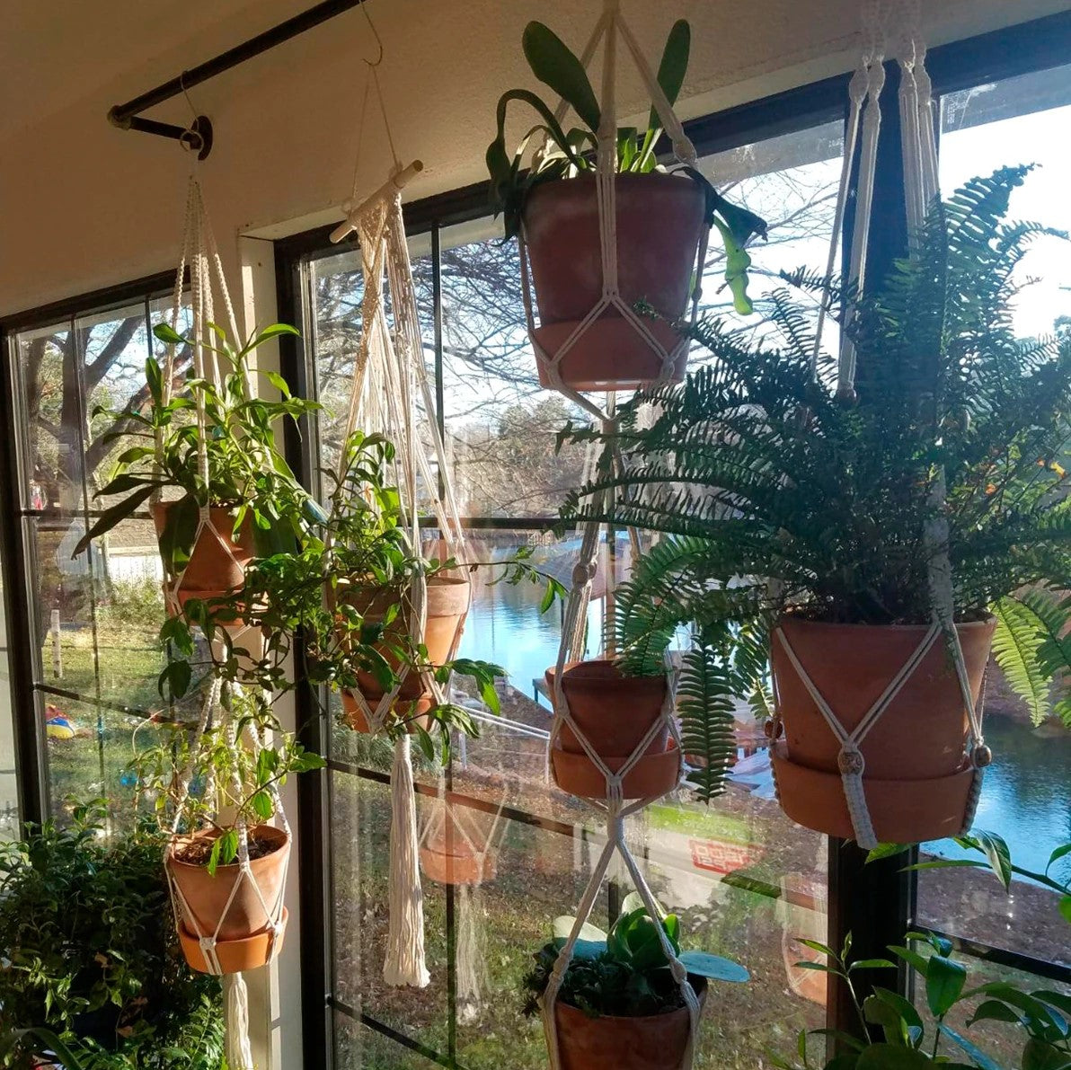 Plant Hangers