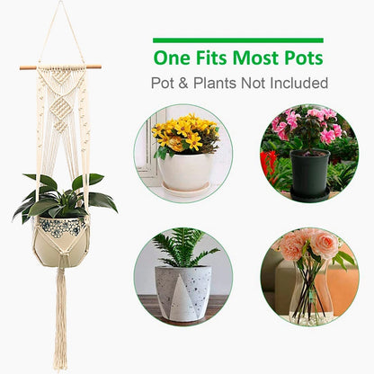 Plant Hangers