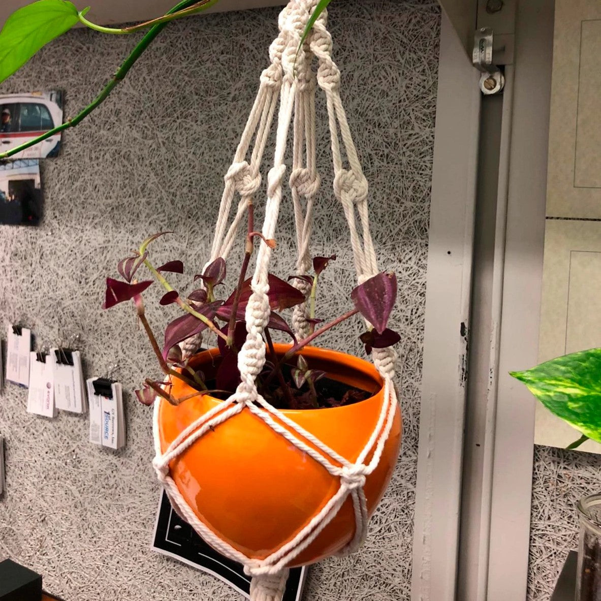 Plant Hangers