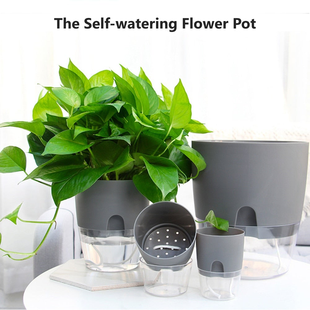 Self-watering Flower Pot
